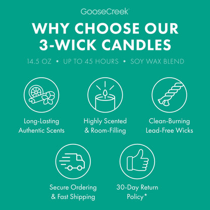 Angry Beavers Nickelodeon 3-Wick Candle