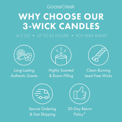 Hey Arnold Nickelodeon 3-Wick Candle