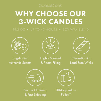Under the Palms 3-Wick Candle