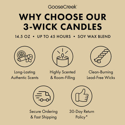 Vanilla Bean 3-Wick Candle