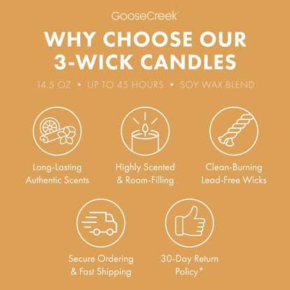 Vanilla Sands 3-Wick Candle
